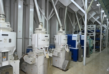 Rice Processing Machine