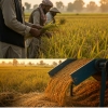 Rice Cleaning Process